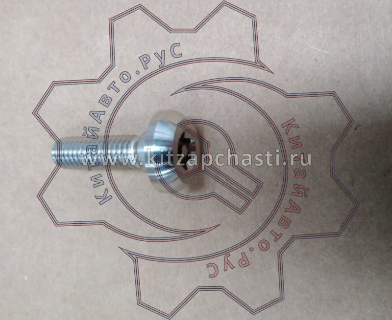 Противоугонный болт HAVAL H9 2pecт 5509801XKV4AA